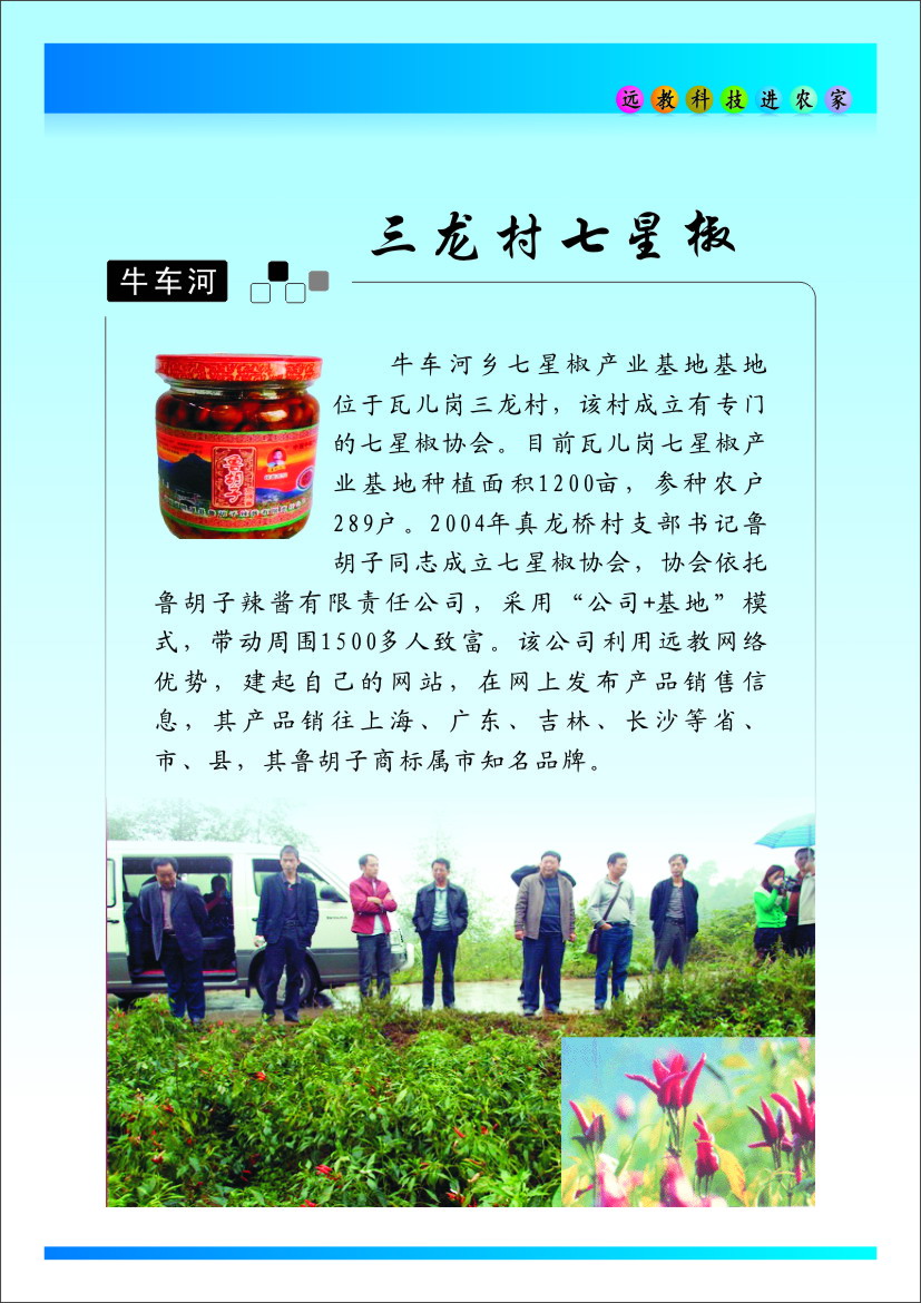 牛車(chē)河七星椒.JPG